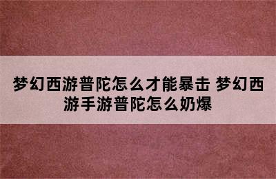 梦幻西游普陀怎么才能暴击 梦幻西游手游普陀怎么奶爆